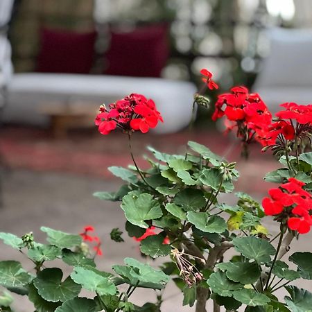 Dar Tadout Guest House Aït Ourir Eksteriør bilde