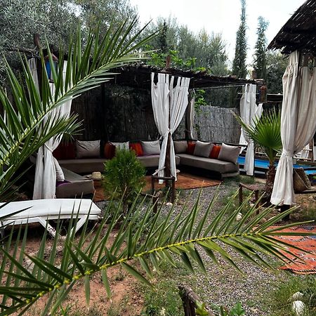 Dar Tadout Guest House Aït Ourir Eksteriør bilde
