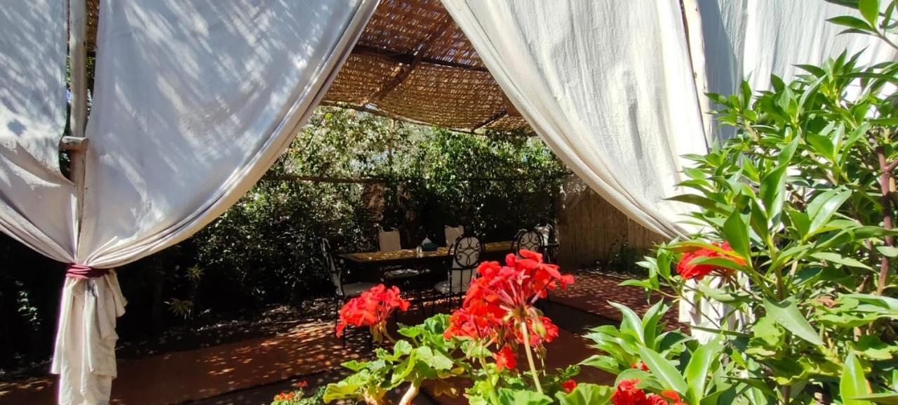Dar Tadout Guest House Aït Ourir Eksteriør bilde